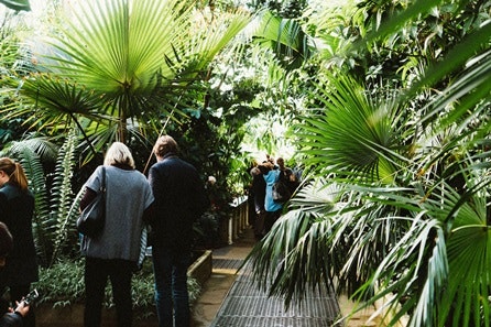 Visit to Kew Gardens for Two Adults