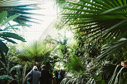 Visit to Kew Gardens with Cream Tea for Two