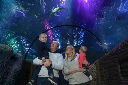 Visit to SEA LIFE Blackpool for Two
