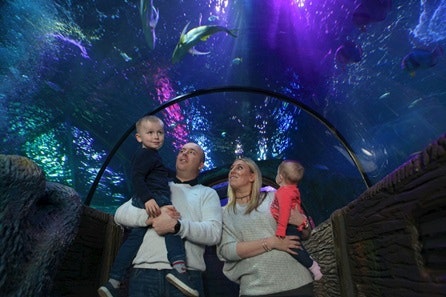 Visit to SEA LIFE Blackpool - Two Adults and Two Children
