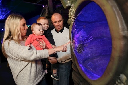 Visit to SEA LIFE Blackpool - Two Adults and Two Children