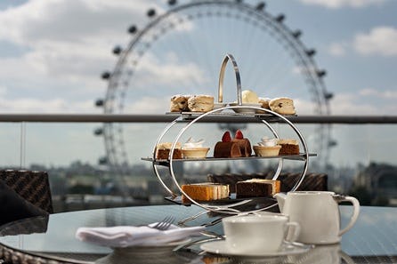 Visit to the Houses of Parliament, Afternoon Tea at The Park Plaza and River Cruise for Two