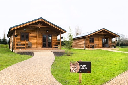 Weekend Luxury Lodge Stay with Dining and Hand Feeding Experience for Two at The Big Cat Sanctuary