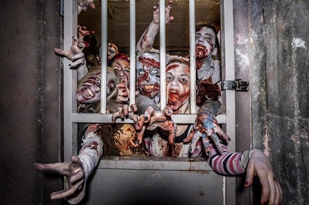 Zombie Outbreak Experience