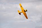 Aerobatic Classic Fighter Plane Experience