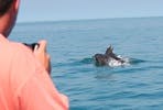 Dolphin Watching for Two