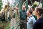 Feed the Big Cats for Two - Weekdays