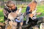 Be a Zoo Keeper for the Day at Flamingo Land Zoo