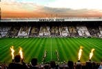 Newcastle United Stadium Tour for One Adult