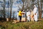 Become a Beekeeper Two Day Workshop at The Bee School