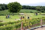Bluebell Vineyard Estates Tour with Cheese and Wine Tasting for Two