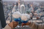Deluxe Visit to The View from The Shard with Champagne, Photos and Guidebook for Two