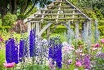 Exclusive Day at Wollerton Old Hall Gardens with Chris Beardshaw including Tour and Lunch