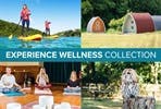 Experience Wellness