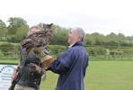 Falconry Taster for Two