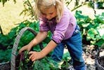 Grow your Own Family Favourites Veg Patch from Rocket Gardens