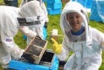Full Day Beekeeping Experience