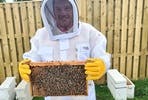 Half Day Beekeeping Experience