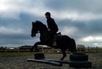 Horse Riding Lessons for Two at Charnwood Forest