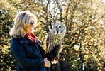 Introduction to Owl Handling