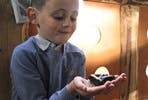 Junior Big Bug Encounter at Hemsley Conservation Centre