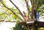Junior Tree Top Adventure for One with Go Ape