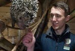 Meet the Porcupines at Hemsley Conservation Centre