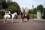 One Hour Horse Riding Lesson for One Adult and One Child in Windsor Great Park