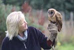 One Hour Private Owl Encounter for Two at Millets Falconry
