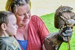 Owl Experience for Two at North Somerset Bird of Prey Centre