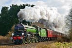 Premium Standard Steam Train Experience for Two with The Steam Dream Rail Co