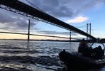 Private One Hour Three Bridges Sea Safari on the Forth for up to Five