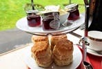 Steam Train Trip on The Spa Valley Railway with Cream Tea and Prosecco for Two