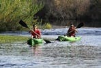 Thames Kayaking Experience for Four in Richmond