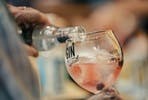 The Gin To My Tonic Show for Two: The Ultimate Gin Festival