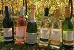 Tour and Tasting with Afternoon Tea for Two at Chilford Hall Vineyard