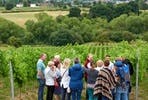 Tour and Tasting with Glass of Sparkling Wine For Two at Hencote Vineyard