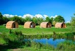 Two Night Somerset Escape for Two in The Old Oak Glamping Pod at Wall Eden Farm