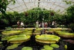 Visit to Kew Gardens with Thames River Cruise from Central London for Two
