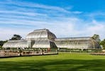 Visit to Kew Gardens and Afternoon Tea at The Botanical for Two