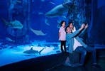 Visit to SEA LIFE London Aquarium for Two Adults and Two Children
