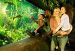Visit to SEA LIFE London Aquarium for Two Adults and Two Children