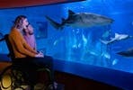 Visit to SEA LIFE London Aquarium for Two Adults