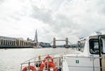 Visit to The Tower of London and Thames Sightseeing River Cruise for Two